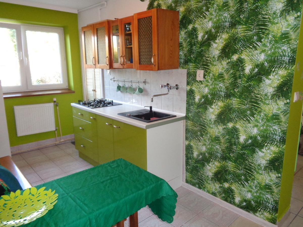Uroczy Domek Z Ogrodem I Tarasem ミシレニツェ エクステリア 写真